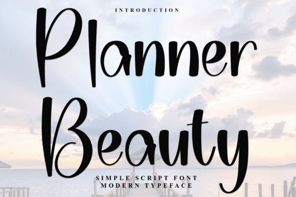 Planner Beauty: A Font That Blends Charm with Professional Polish